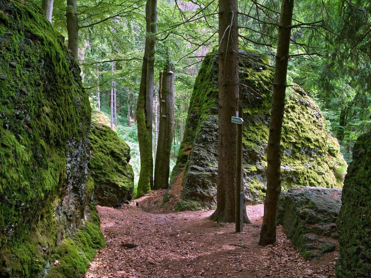 Panoramaferienwohnung Bergwiese 马瑟尔贝格 外观 照片