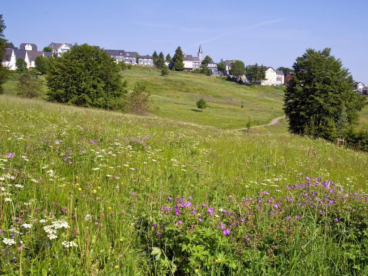 Panoramaferienwohnung Bergwiese 马瑟尔贝格 外观 照片