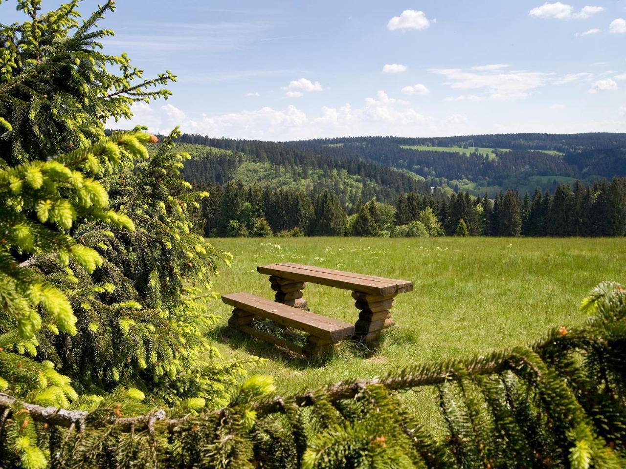 Panoramaferienwohnung Bergwiese 马瑟尔贝格 外观 照片