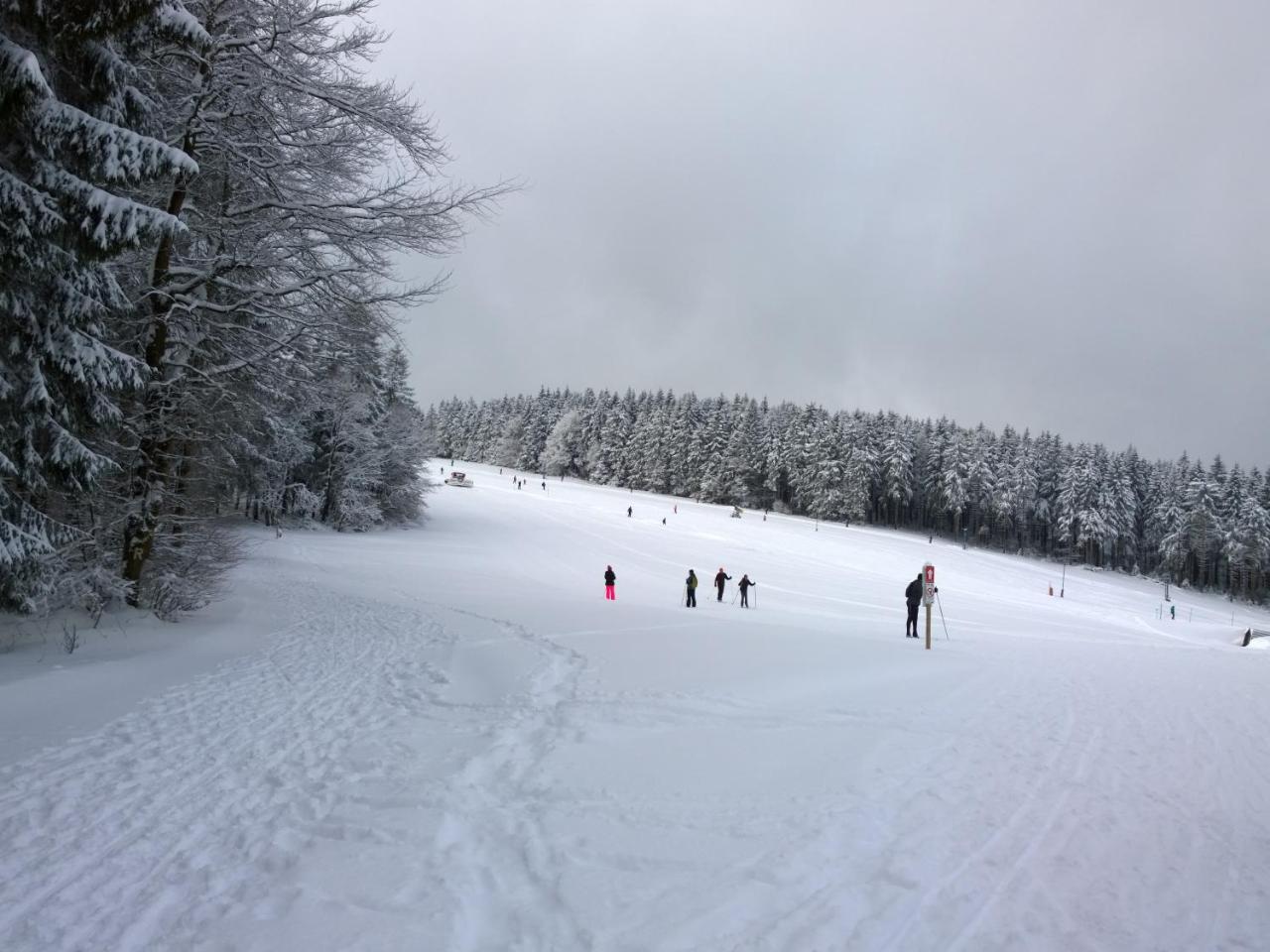Panoramaferienwohnung Bergwiese 马瑟尔贝格 外观 照片